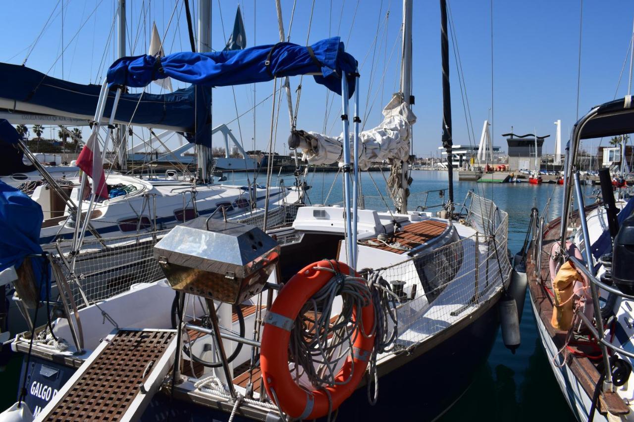 Velero En Puerto De Valencia - E&M Boats Valência Exterior foto